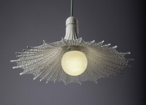 BIOPHILIA (2)