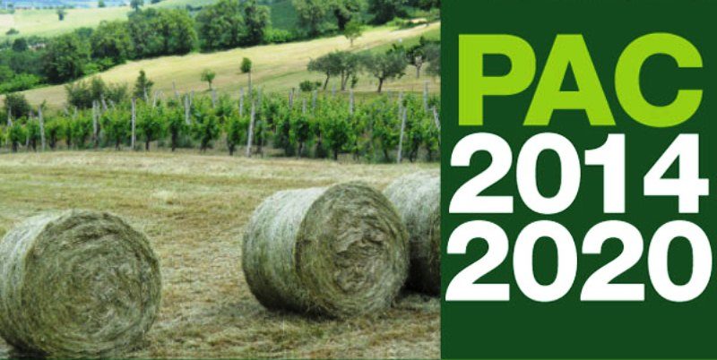 Contributi PAC 2016 alle aziende agricole