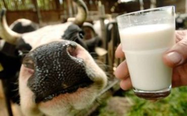 Latte: Martina e Calzolari plaudono le misure Ue