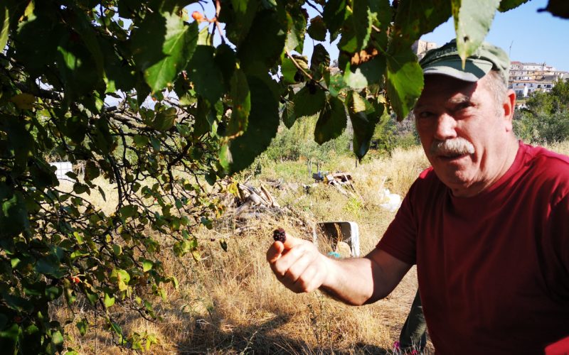 Aiutiamo Giovanni D’Errico a creare Puglia-Farm